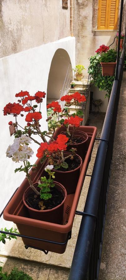 Le Altezze Villa Erice Eksteriør billede